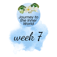 W7 – Journey to the Inner World